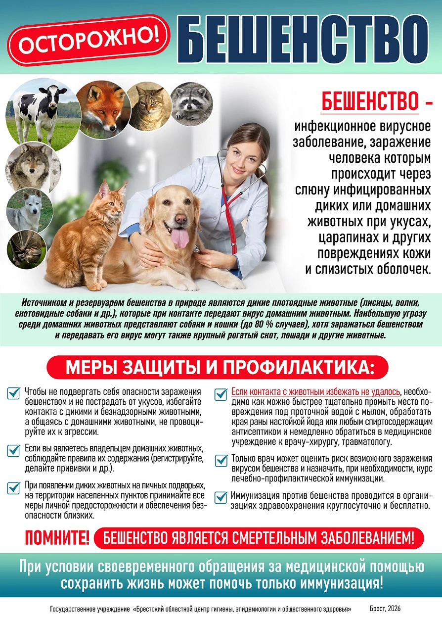 Осторожно бешенство